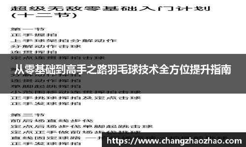 从零基础到高手之路羽毛球技术全方位提升指南