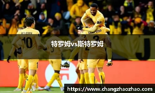 特罗姆vs斯特罗姆