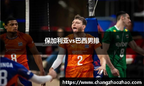 保加利亚vs巴西男排